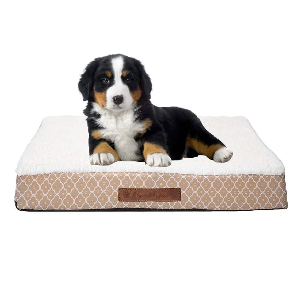 Wags &amp; Whiskers Memory Foam Pet Bed - Assorted Styles