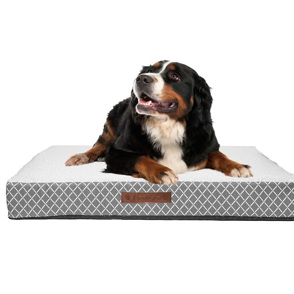 Wags &amp; Whiskers Memory Foam Pet Bed - Assorted Styles