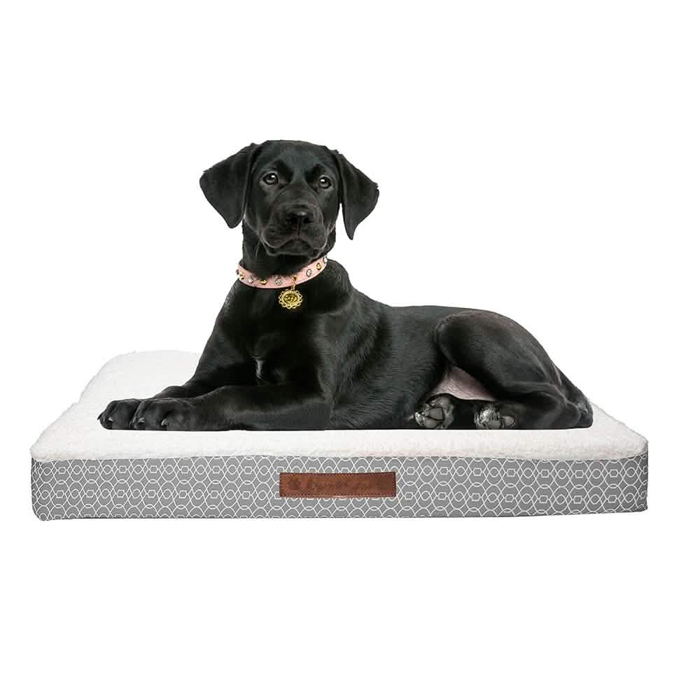 Wags &amp; Whiskers Memory Foam Pet Bed - Assorted Styles