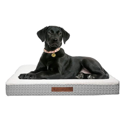Wags &amp; Whiskers Memory Foam Pet Bed - Assorted Styles
