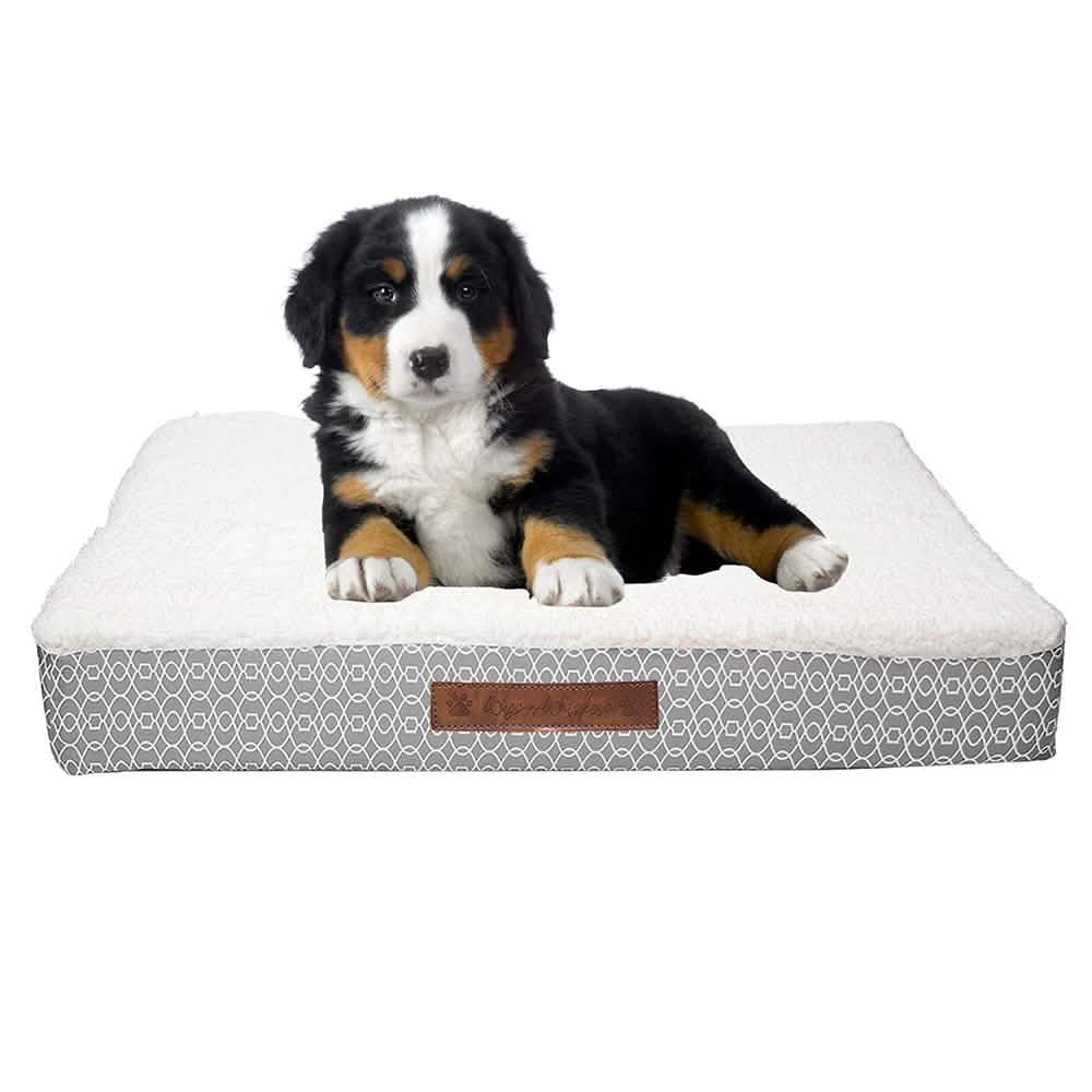 Wags &amp; Whiskers Memory Foam Pet Bed - Assorted Styles