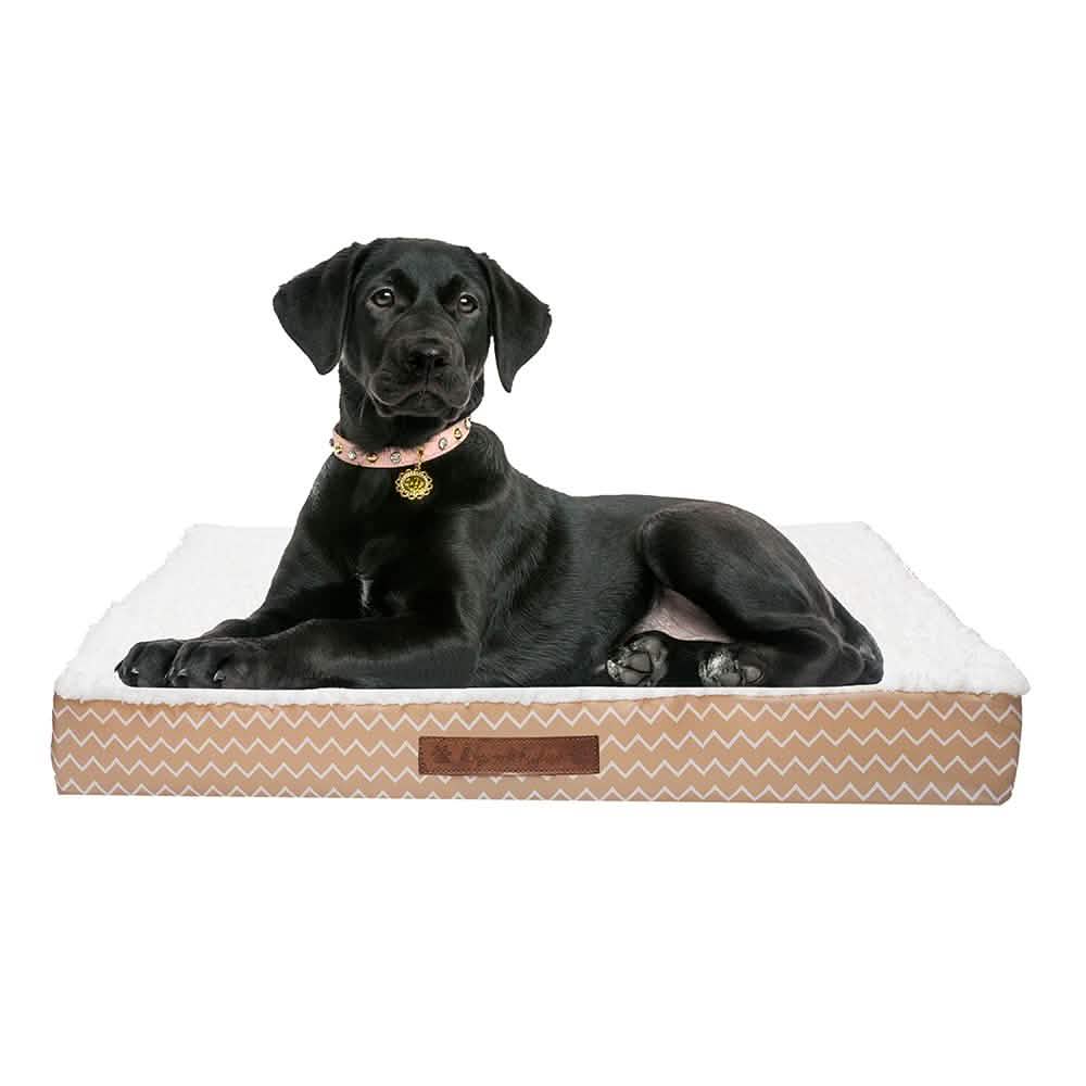 Wags &amp; Whiskers Memory Foam Pet Bed - Assorted Styles