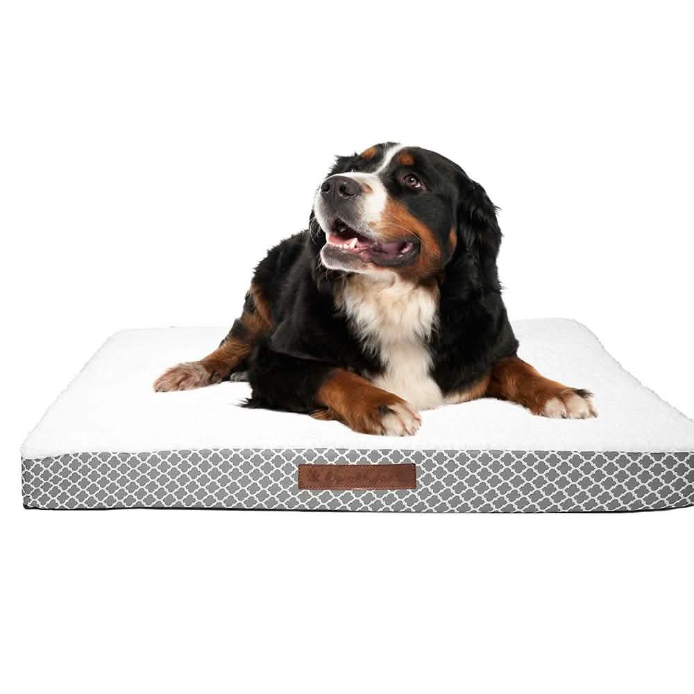 Wags &amp; Whiskers Memory Foam Pet Bed - Assorted Styles