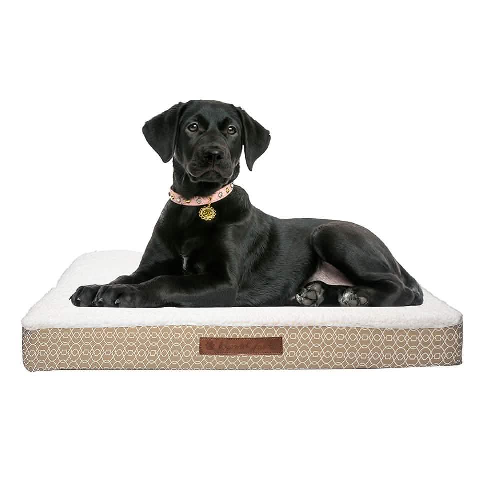Wags &amp; Whiskers Memory Foam Pet Bed - Assorted Styles