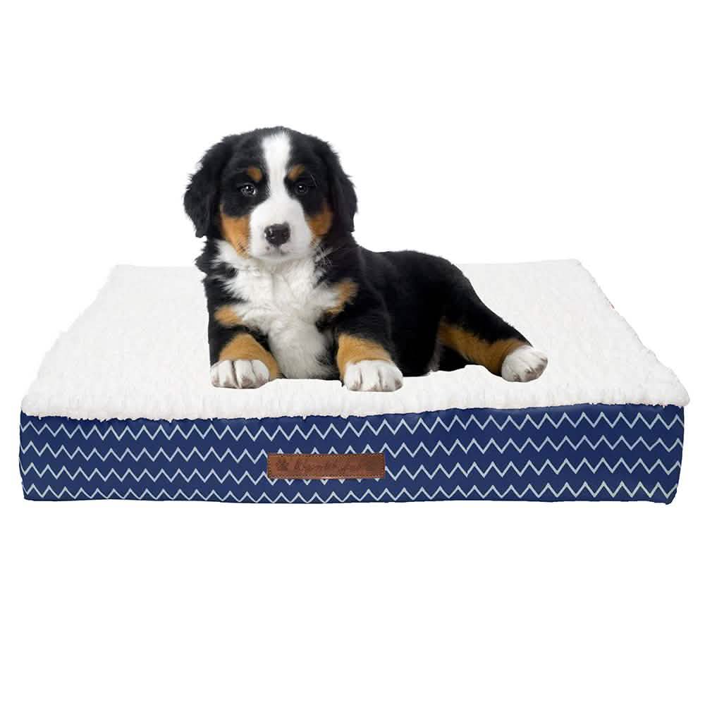 Wags &amp; Whiskers Memory Foam Pet Bed - Assorted Styles