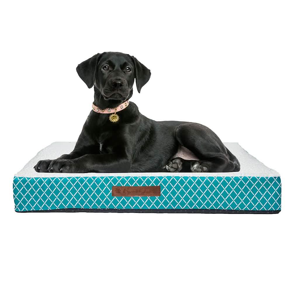 Wags &amp; Whiskers Memory Foam Pet Bed - Assorted Styles