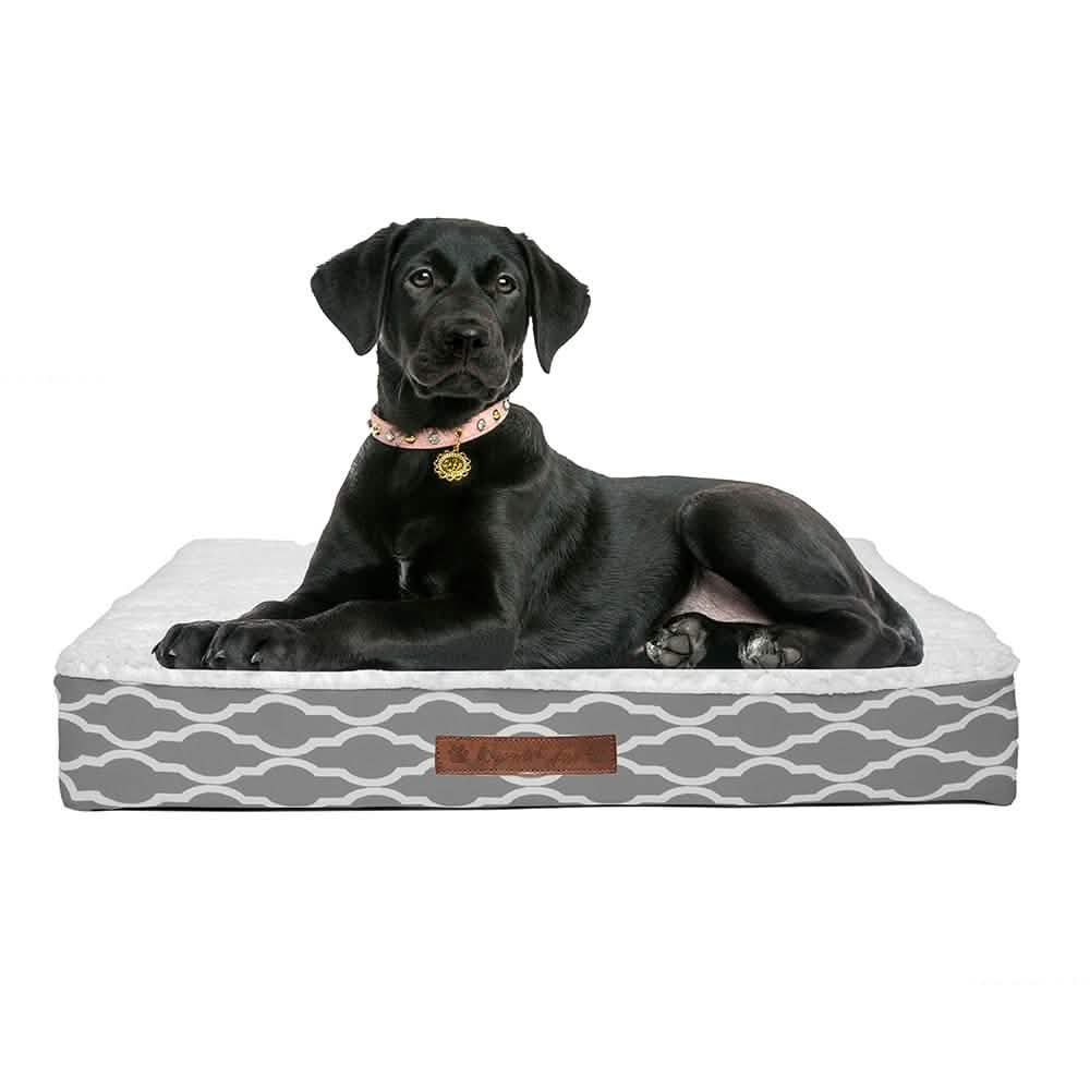 Wags &amp; Whiskers Memory Foam Pet Bed - Assorted Styles