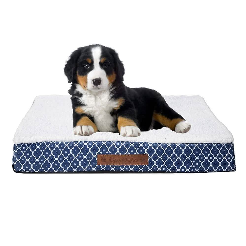 Wags &amp; Whiskers Memory Foam Pet Bed - Assorted Styles