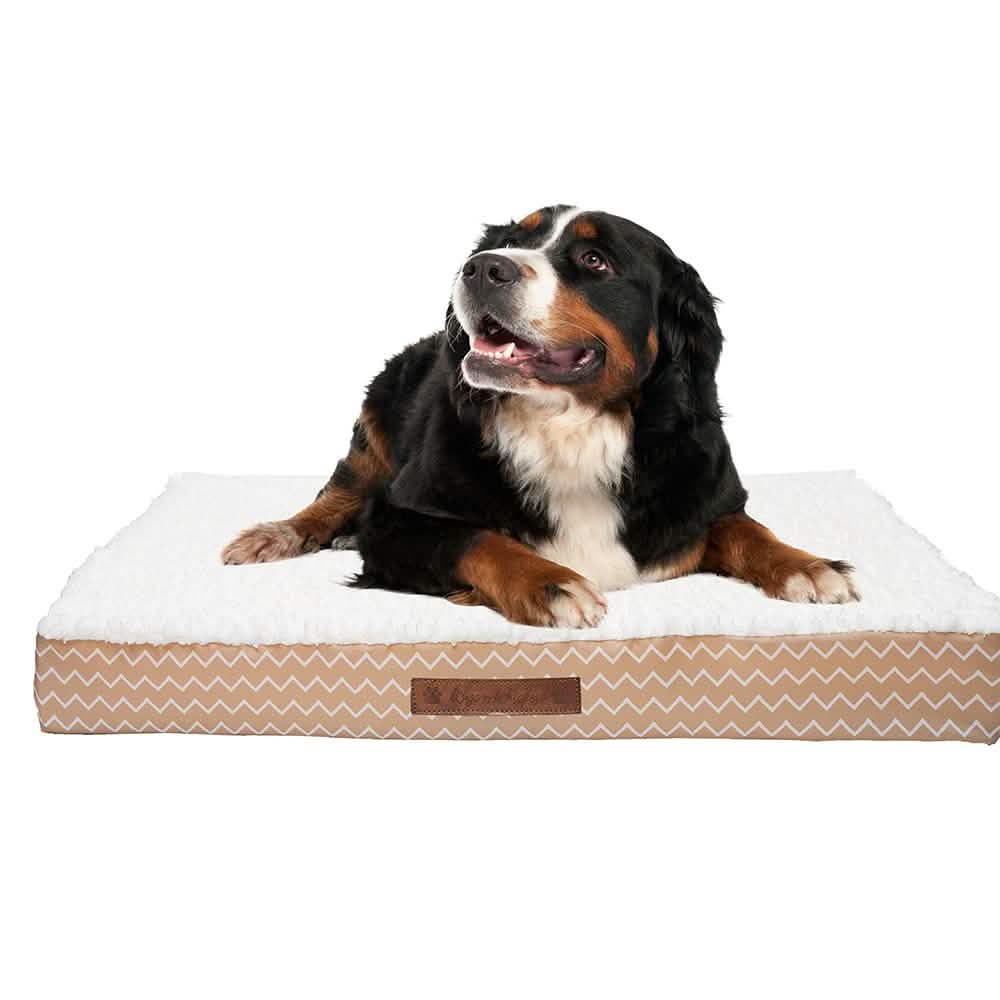 Wags &amp; Whiskers Memory Foam Pet Bed - Assorted Styles