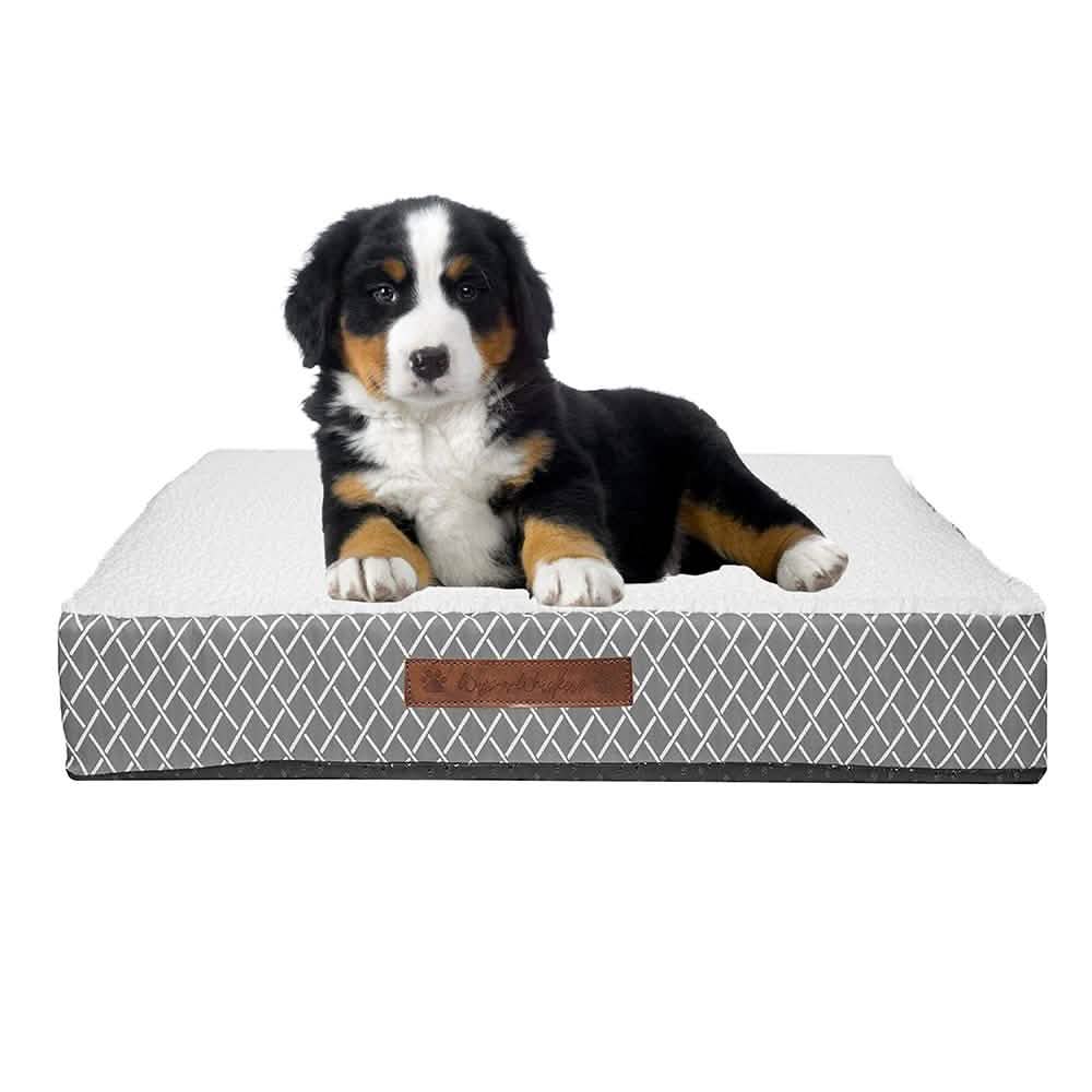 Wags &amp; Whiskers Memory Foam Pet Bed - Assorted Styles