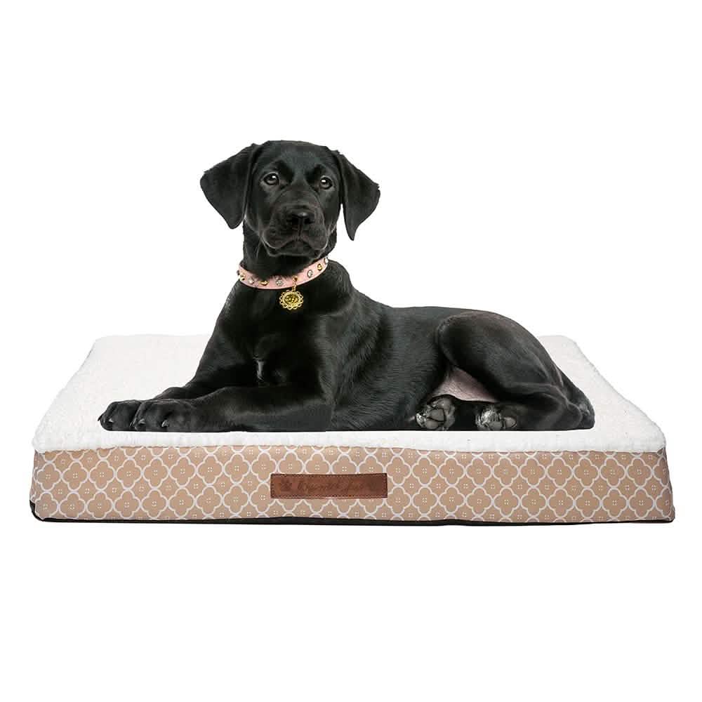 Wags &amp; Whiskers Memory Foam Pet Bed - Assorted Styles