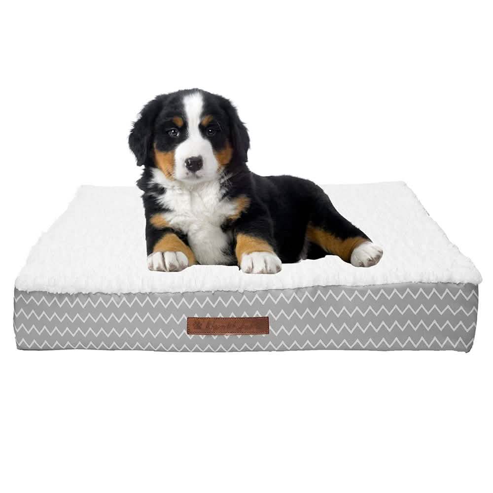 Wags &amp; Whiskers Memory Foam Pet Bed - Assorted Styles