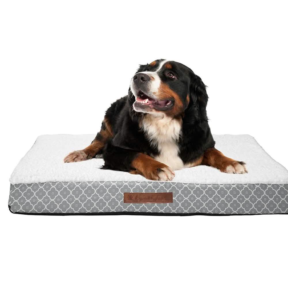 Wags &amp; Whiskers Memory Foam Pet Bed - Assorted Styles