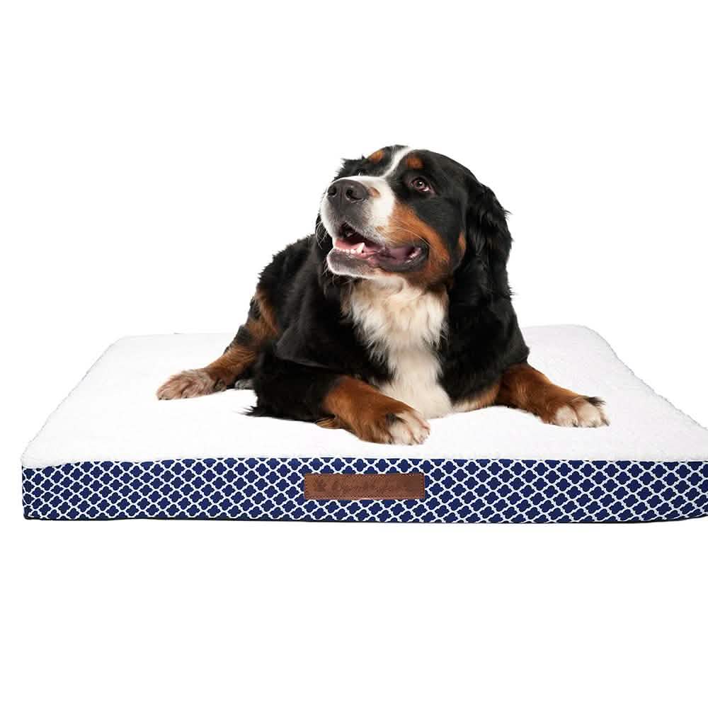 Wags &amp; Whiskers Memory Foam Pet Bed - Assorted Styles