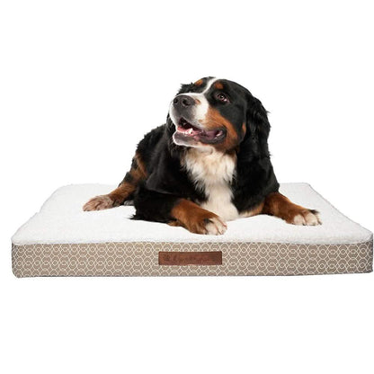 Wags &amp; Whiskers Memory Foam Pet Bed - Assorted Styles