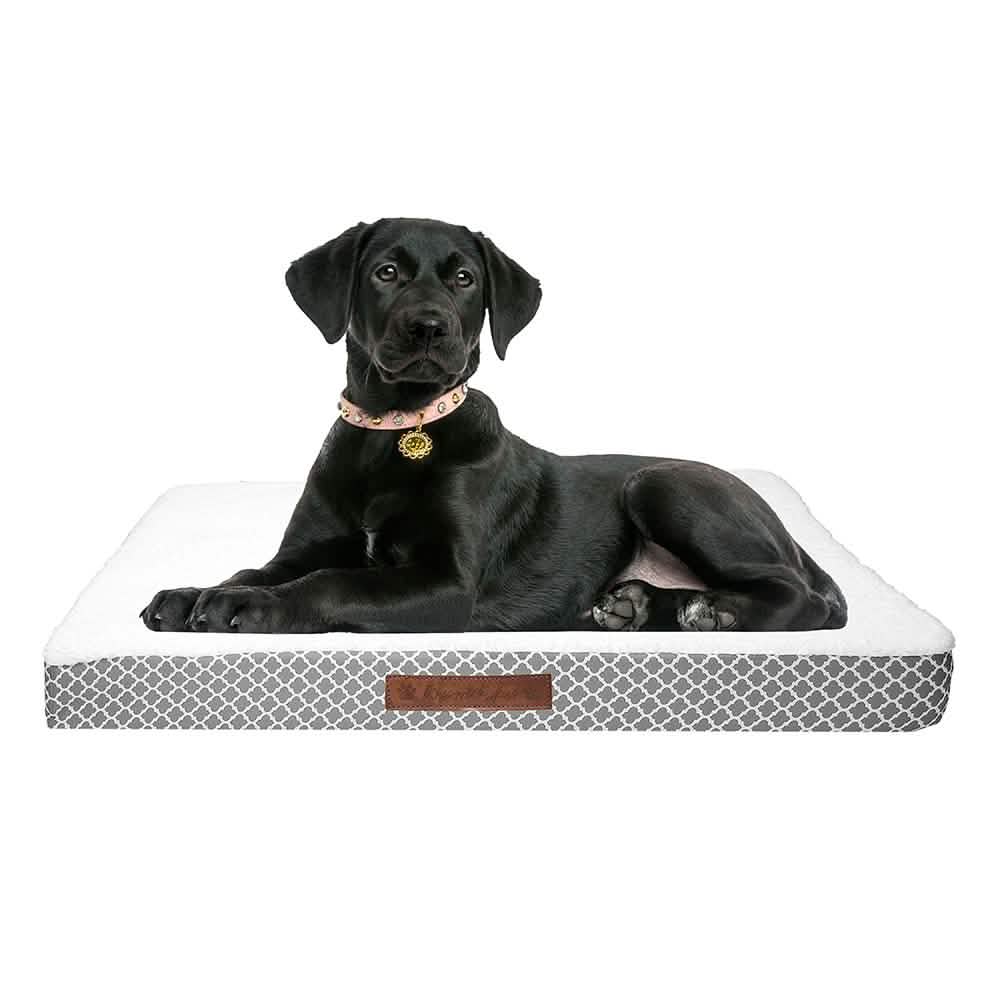 Wags &amp; Whiskers Memory Foam Pet Bed - Assorted Styles