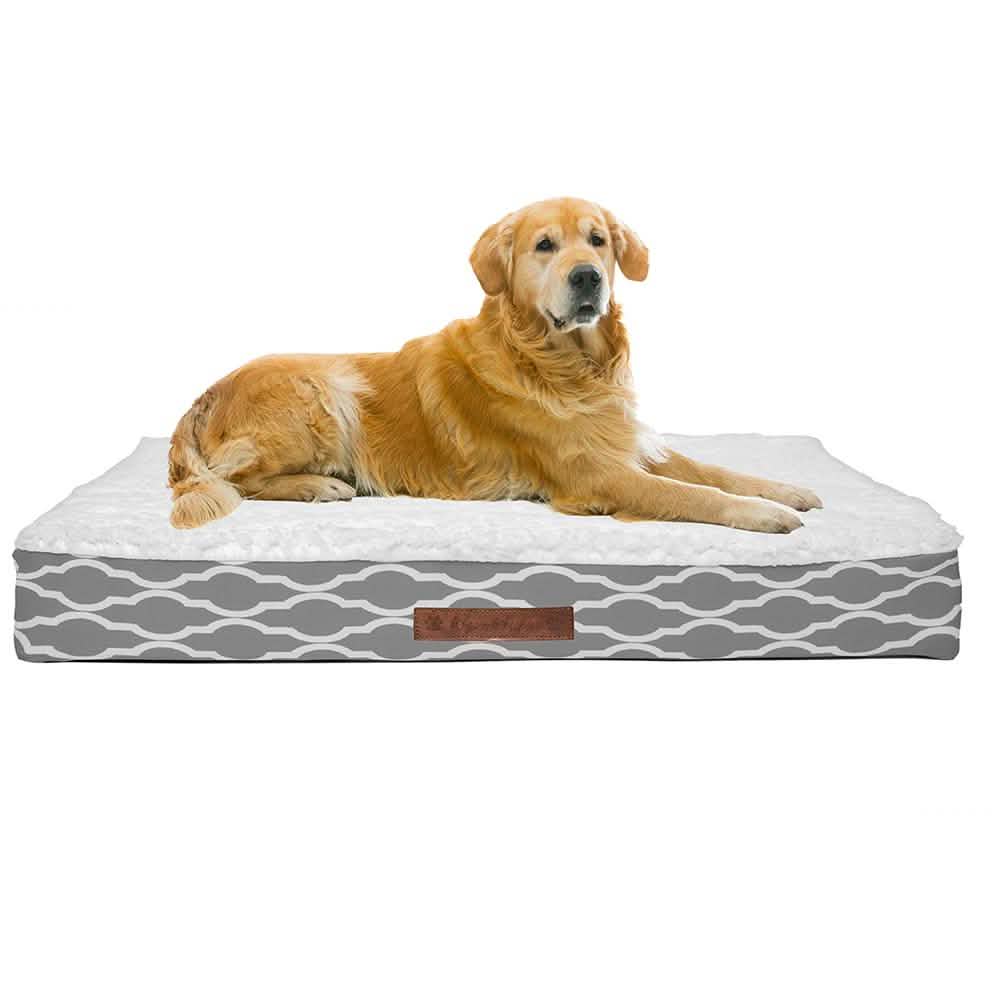 Wags &amp; Whiskers Memory Foam Pet Bed - Assorted Styles