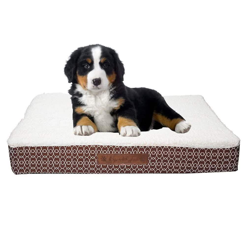 Wags &amp; Whiskers Memory Foam Pet Bed - Assorted Styles