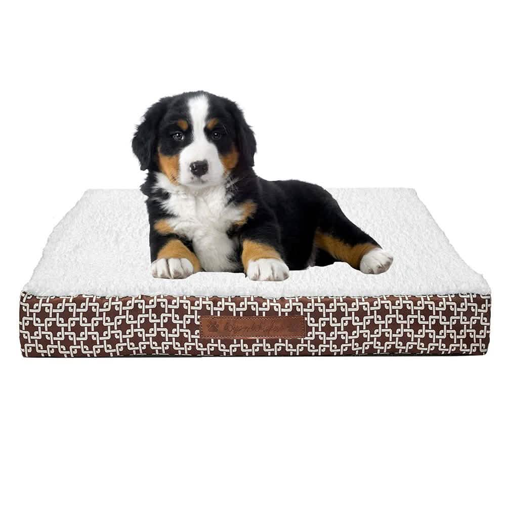 Wags &amp; Whiskers Memory Foam Pet Bed - Assorted Styles