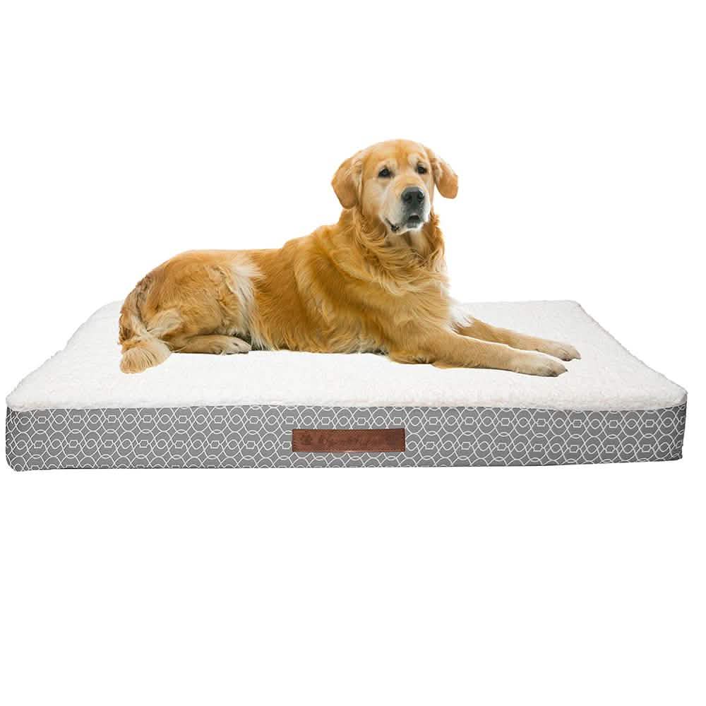Wags &amp; Whiskers Memory Foam Pet Bed - Assorted Styles